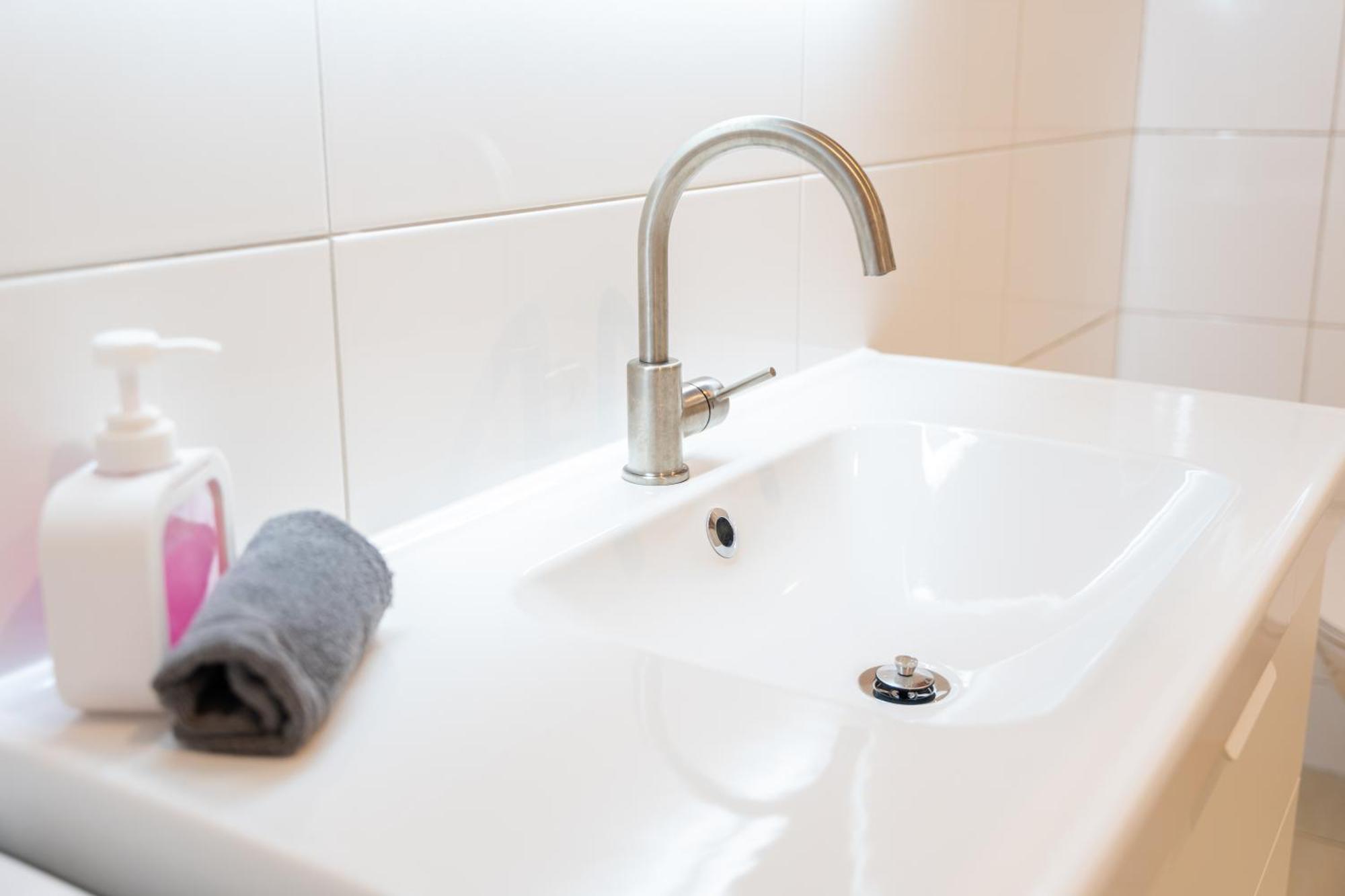 Living - Wielemansgasse Apartment *