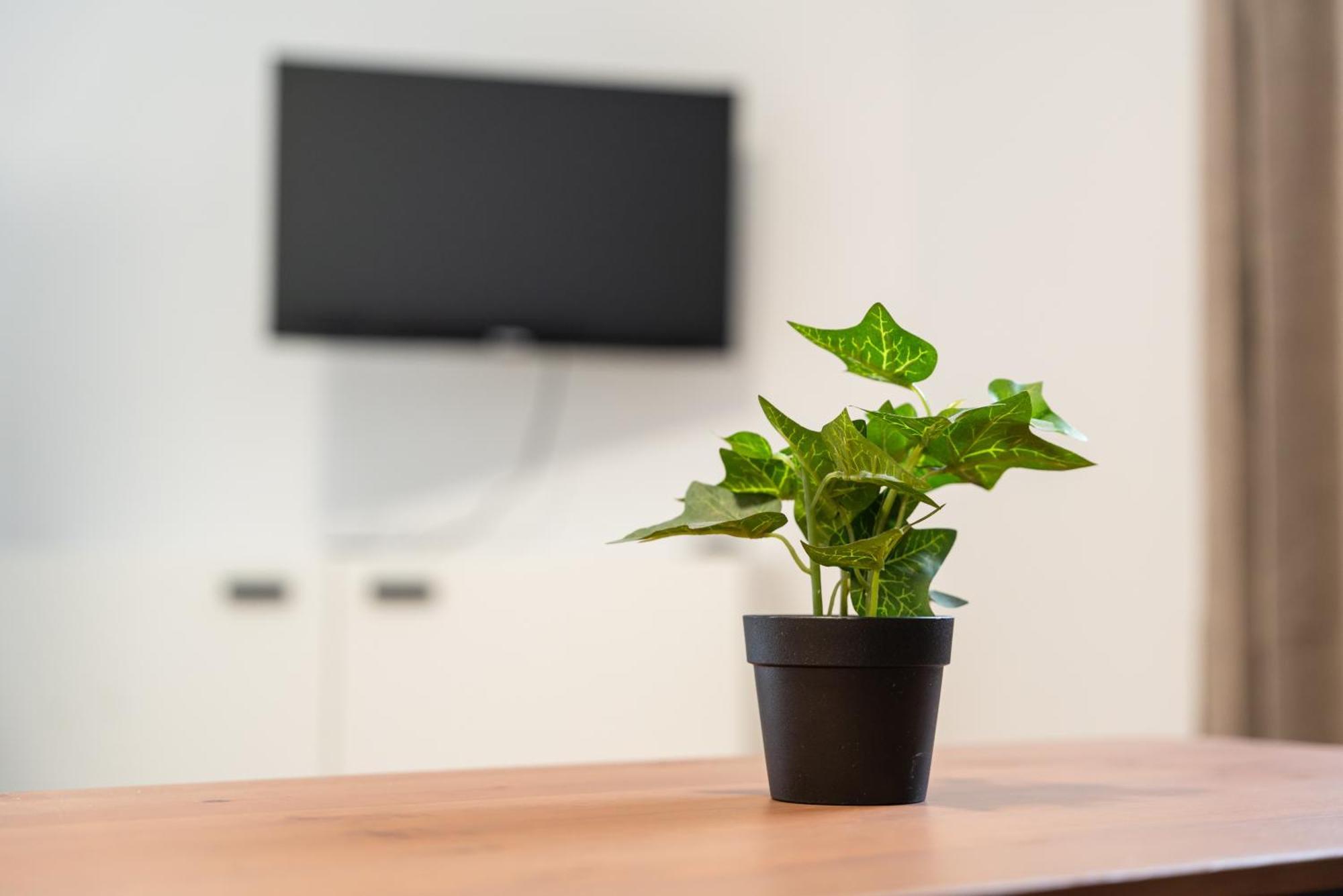 Apartment Living - Wielemansgasse
